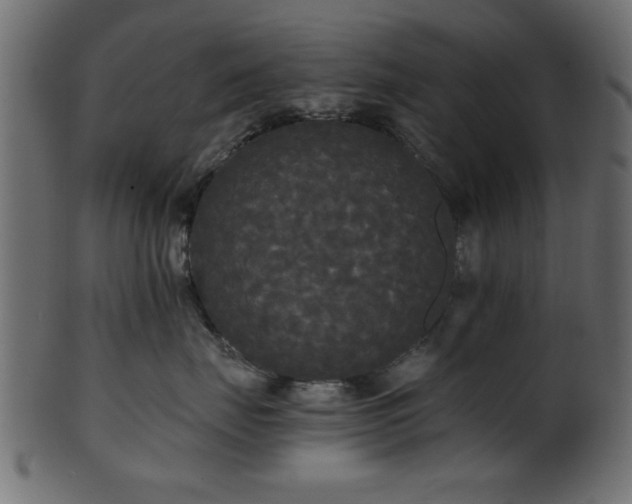 X0000101950671200807181452