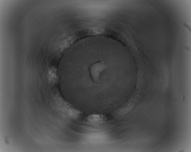 X0000101950672200807181452