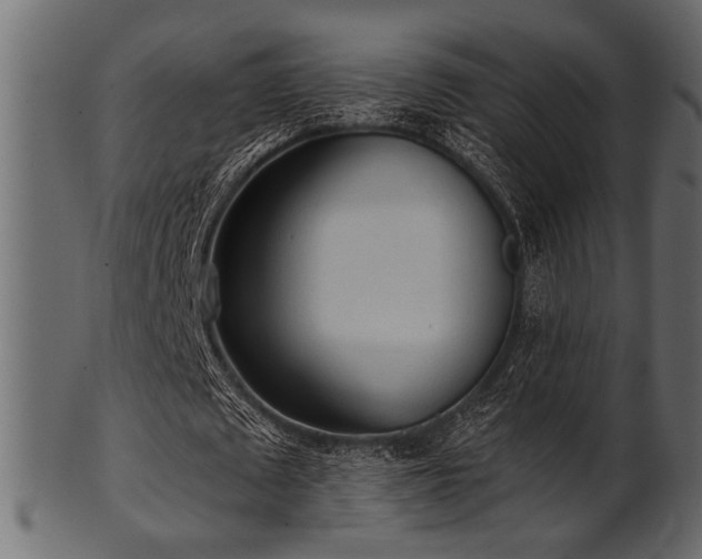 X0000101950673200807181451