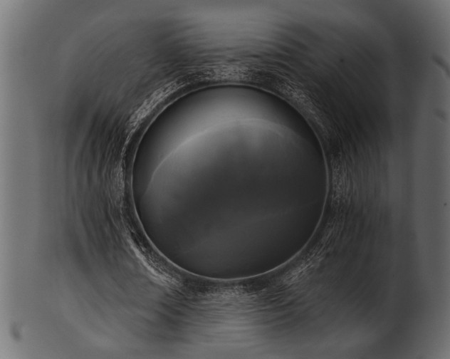 X0000101950674200807181451