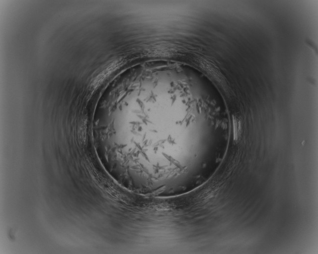 X0000101950675200807181451