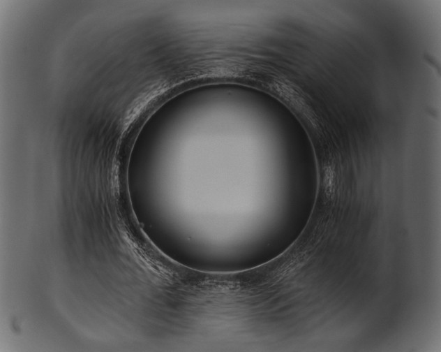 X0000101950676200807181451