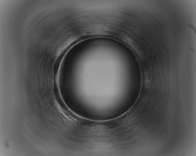 X0000101950677200807181451