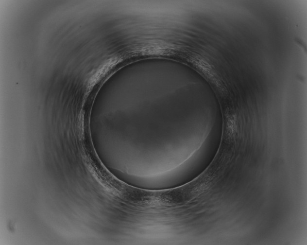 X0000101950678200807181451