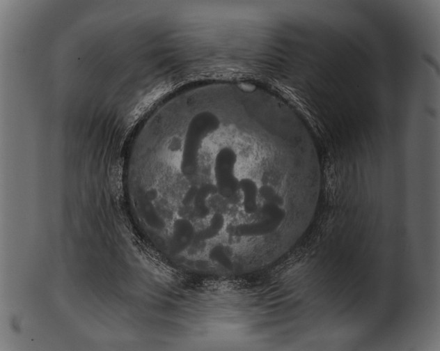 X0000101950679200807181451