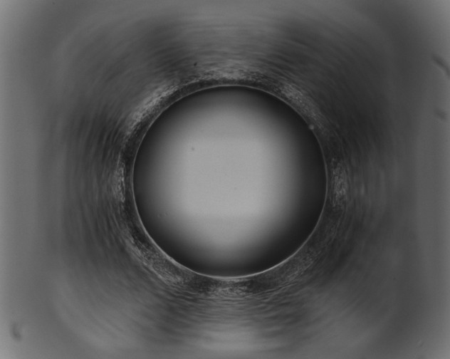 X0000101950680200807181451