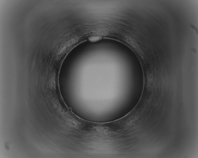 X0000101950681200807181451