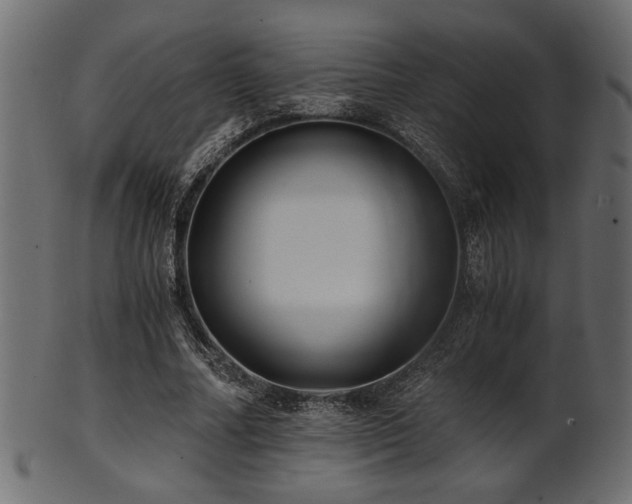 X0000101950682200807181451