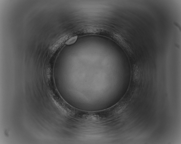 X0000101950683200807181451