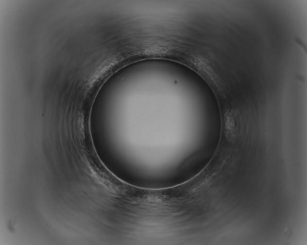 X0000101950684200807181451