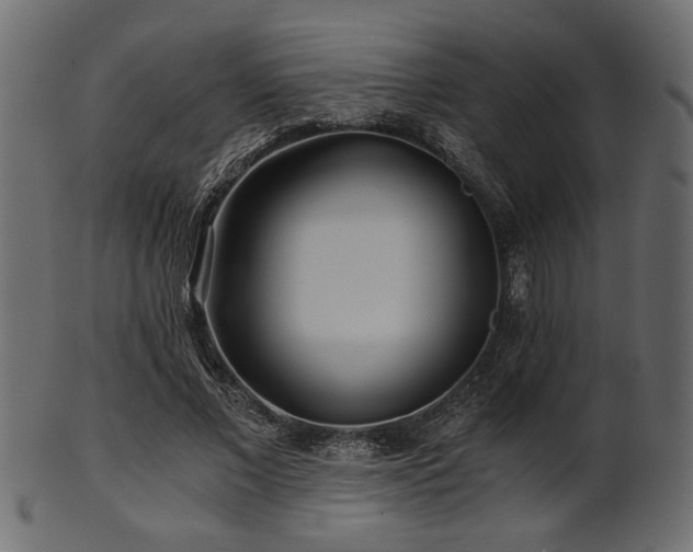 X0000101950685200807181451