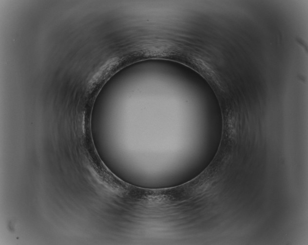 X0000101950686200807181451