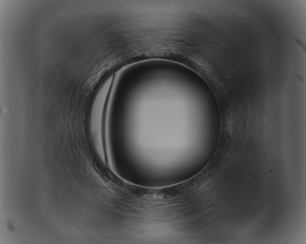 X0000101950687200807181451