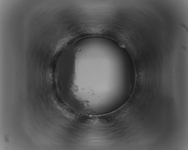 X0000101950688200807181451