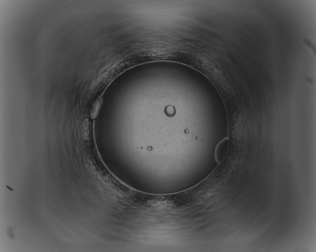 X0000101950689200807181451