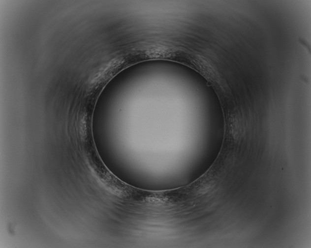 X0000101950690200807181451