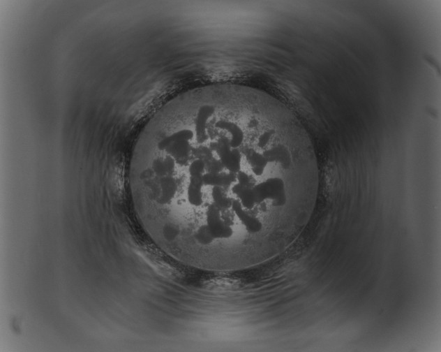 X0000101950691200807181451