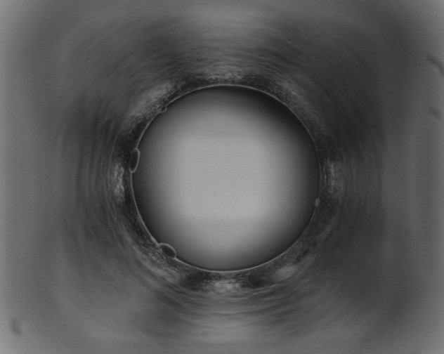 X0000101950692200807181451