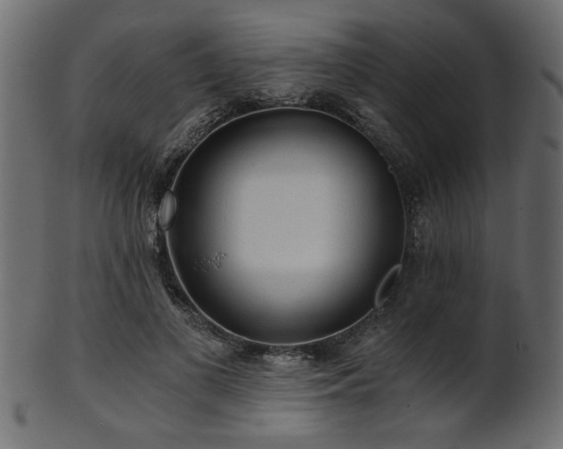 X0000101950693200807181451