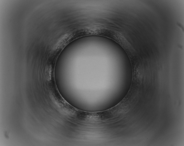 X0000101950694200807181450