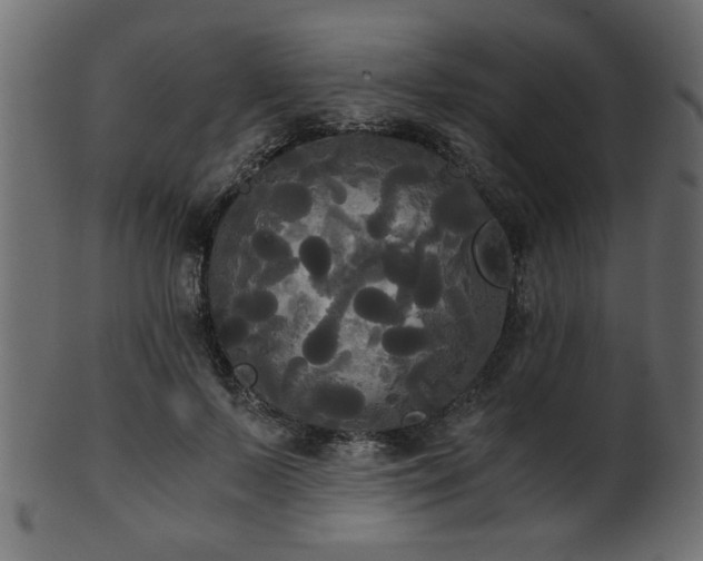 X0000101950695200807181450