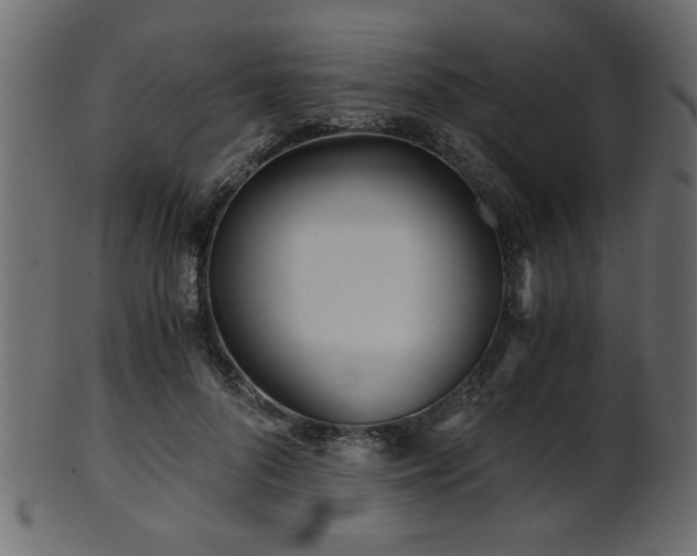 X0000101950696200807181450