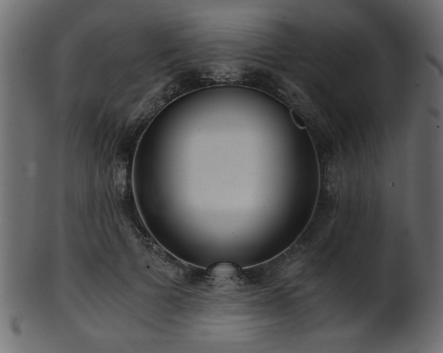 X0000101950697200807181450