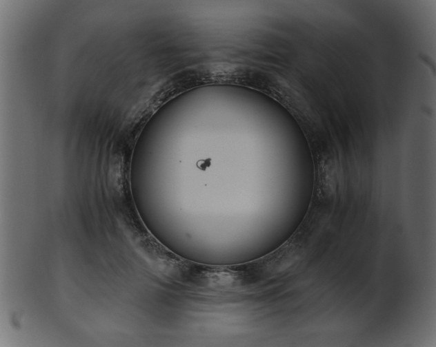 X0000101950698200807181450