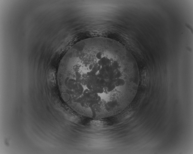 X0000101950699200807181450