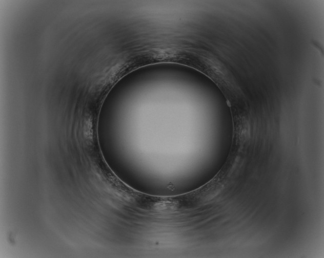 X0000101950700200807181450