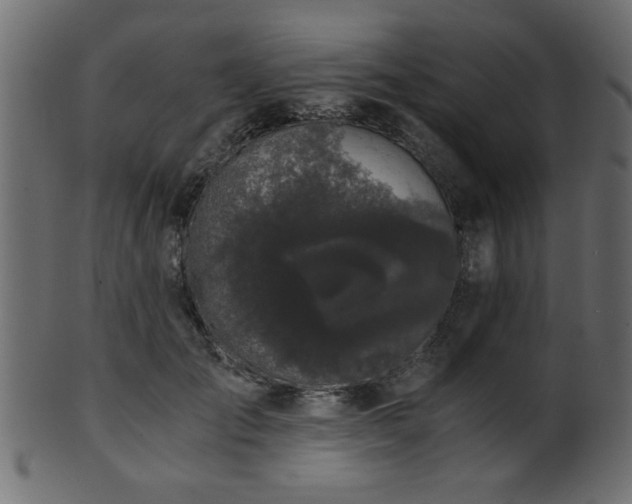 X0000101950701200807181450