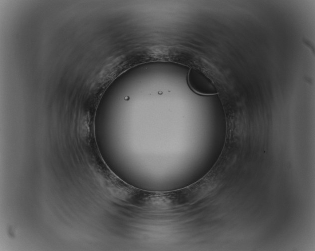 X0000101950702200807181450