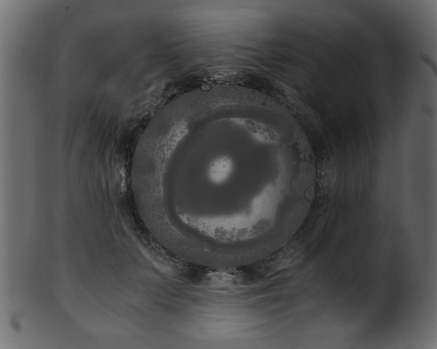 X0000101950703200807181450