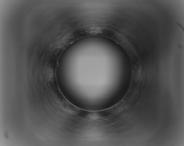 X0000101950704200807181450