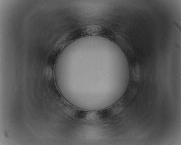 X0000101950705200807181450