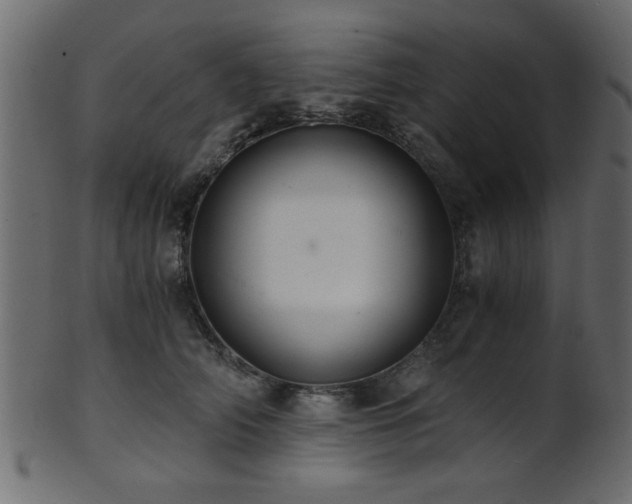 X0000101950706200807181450