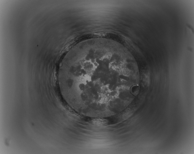 X0000101950707200807181450