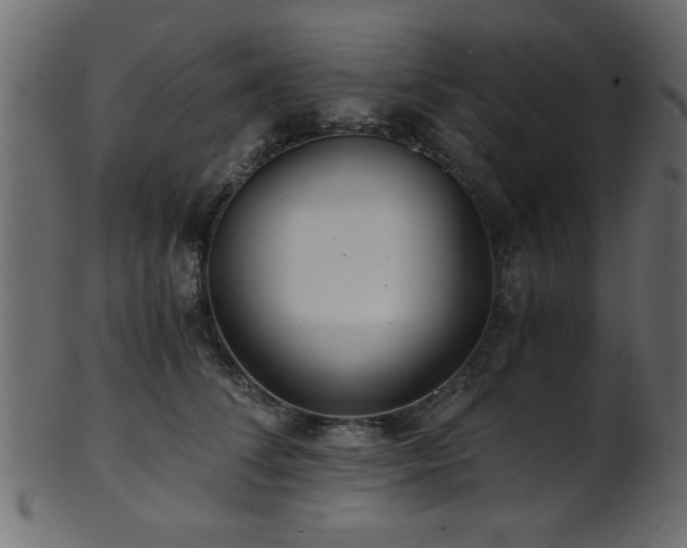 X0000101950708200807181450