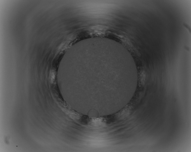 X0000101950709200807181450