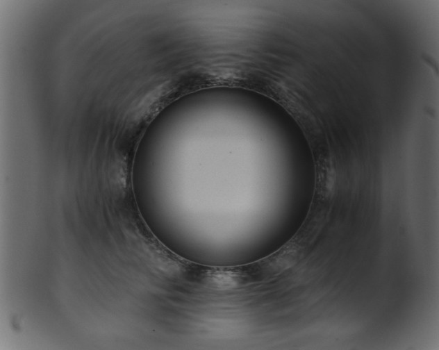 X0000101950710200807181450