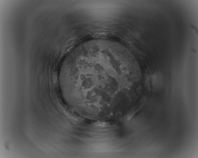 X0000101950711200807181450