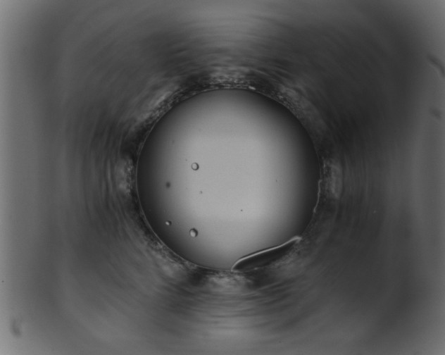 X0000101950712200807181450