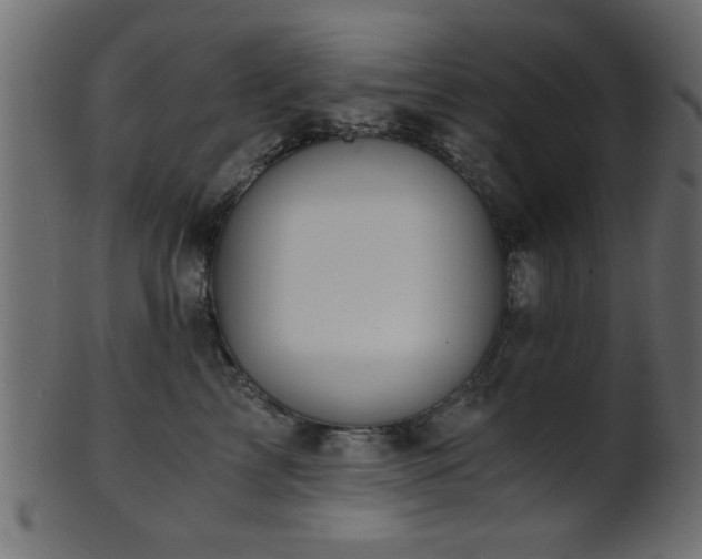 X0000101950713200807181450