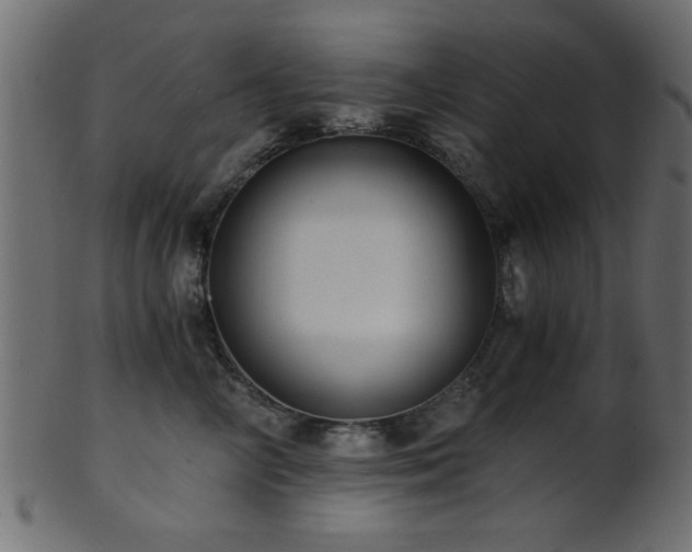 X0000101950714200807181450