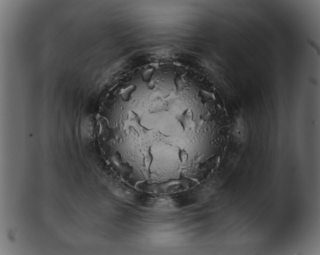 X0000101950715200807181450