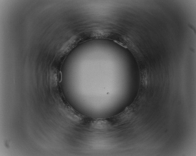 X0000101950716200807181450