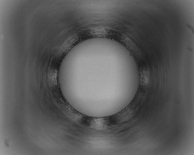 X0000101950717200807181450