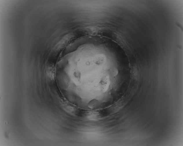 X0000101950719200807181450