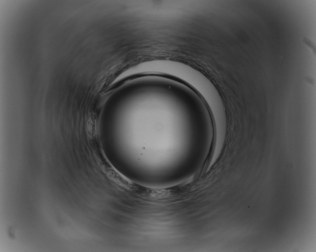 X0000101950720200807181450