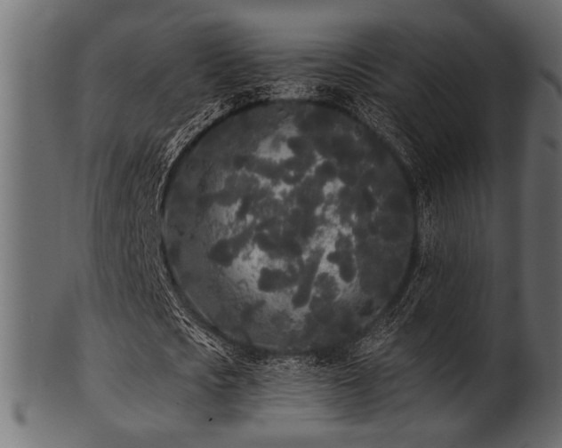 X0000101950721200807181449